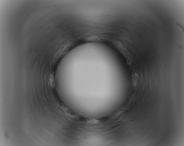 X0000103460669200809121059