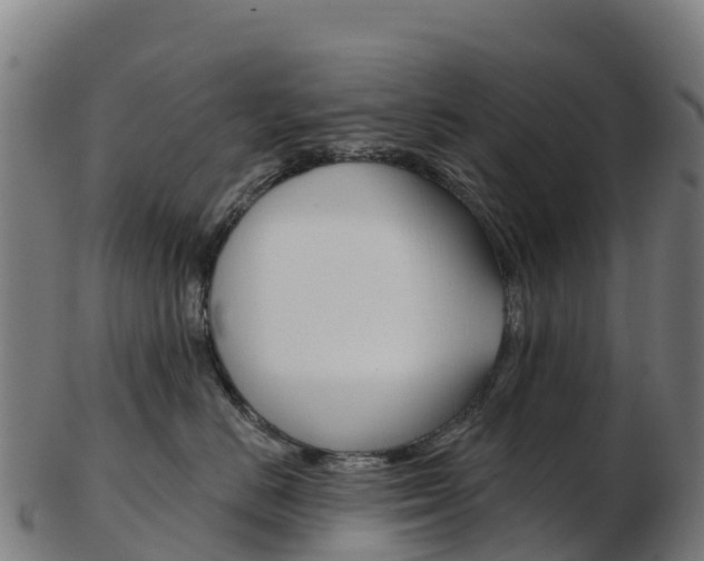 X0000103460670200809121059