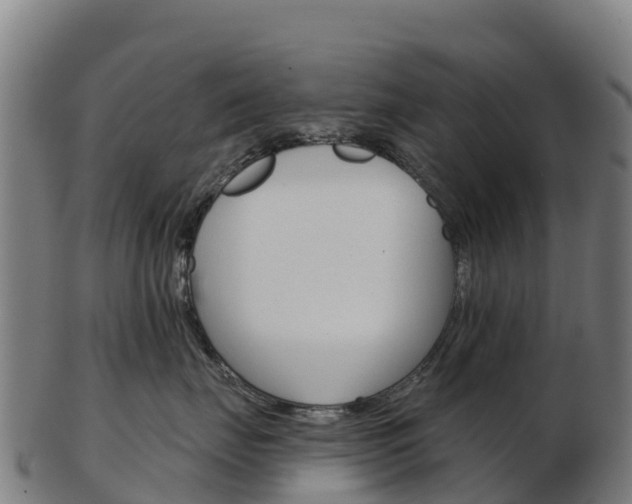 X0000103460671200809121059