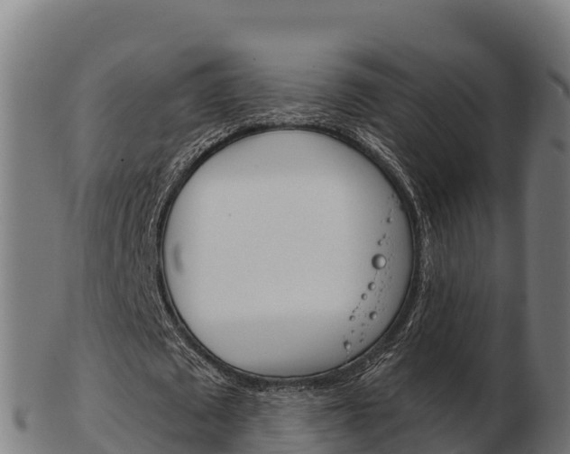 X0000103460673200809121058