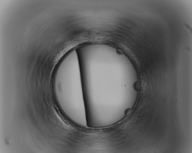X0000103460674200809121058