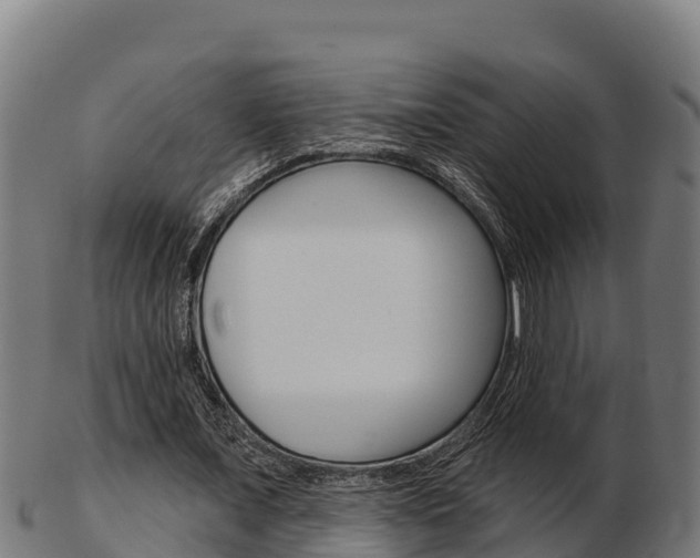 X0000103460675200809121058