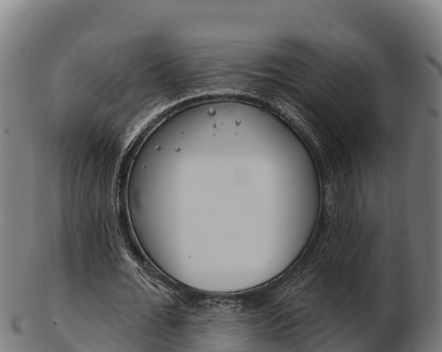 X0000103460676200809121058