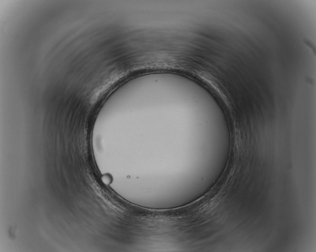 X0000103460677200809121058