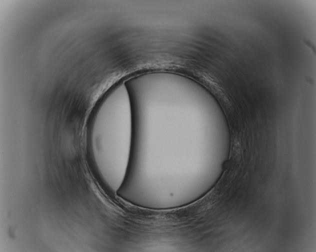 X0000103460678200809121058