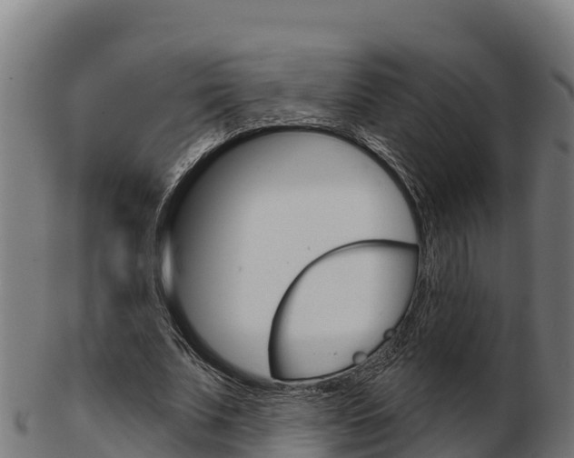 X0000103460679200809121058