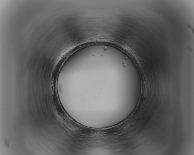 X0000103460680200809121058
