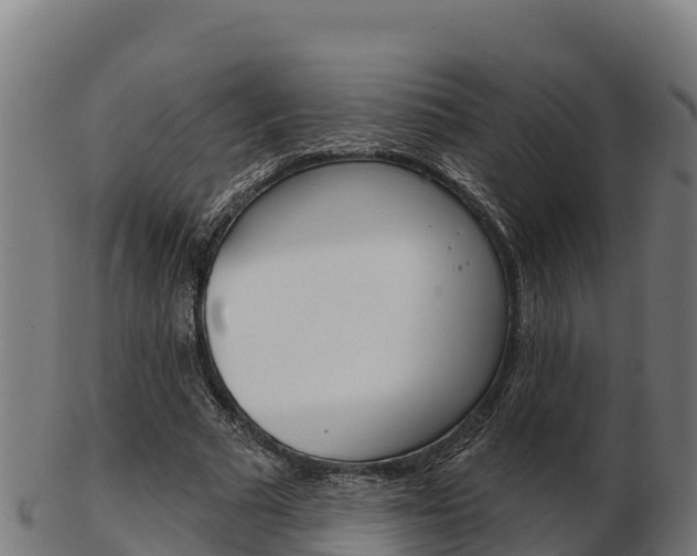 X0000103460681200809121058