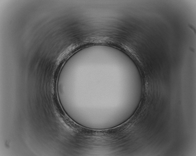 X0000103460682200809121058