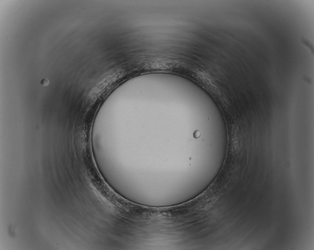 X0000103460683200809121058