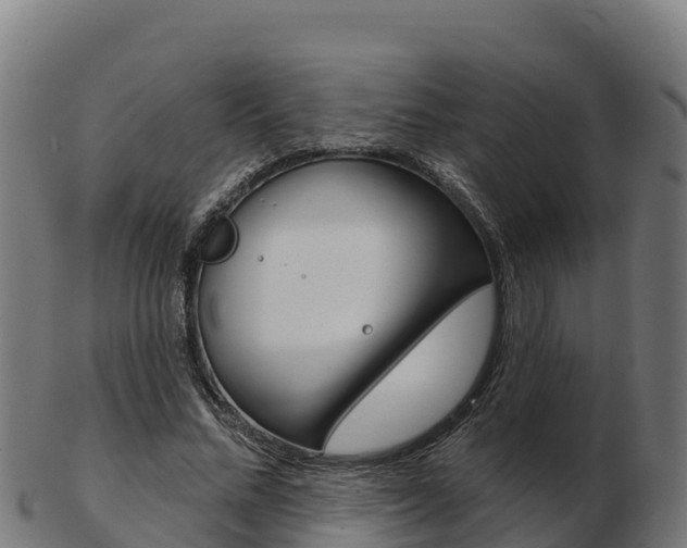 X0000103460684200809121058