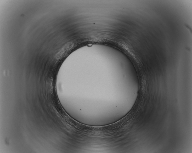 X0000103460685200809121058