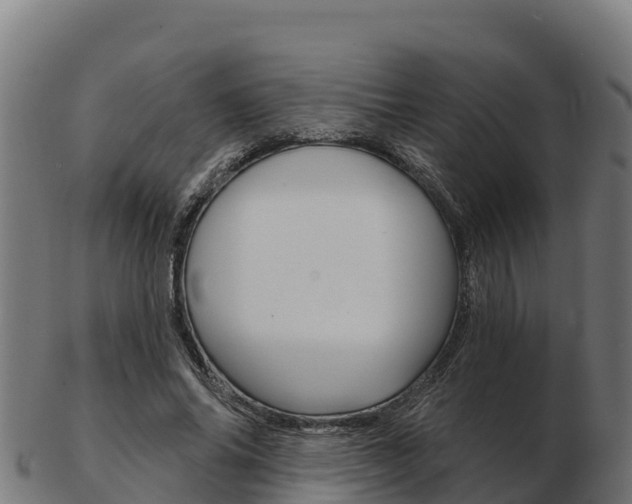 X0000103460686200809121058