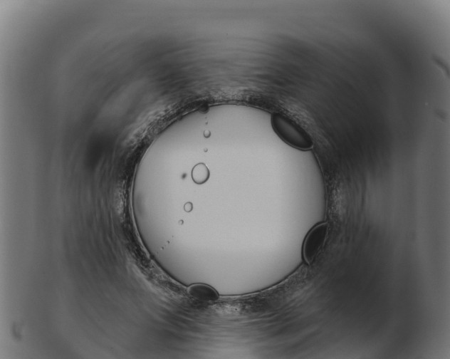 X0000103460687200809121058