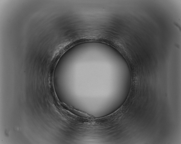 X0000103460688200809121058