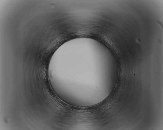 X0000103460689200809121058