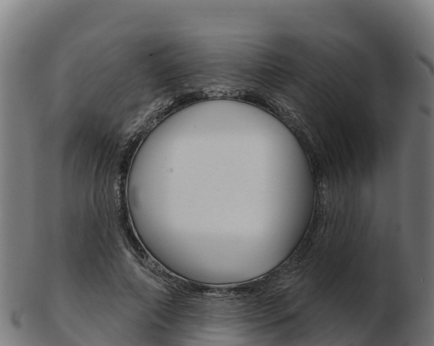 X0000103460690200809121058