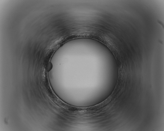 X0000103460692200809121058