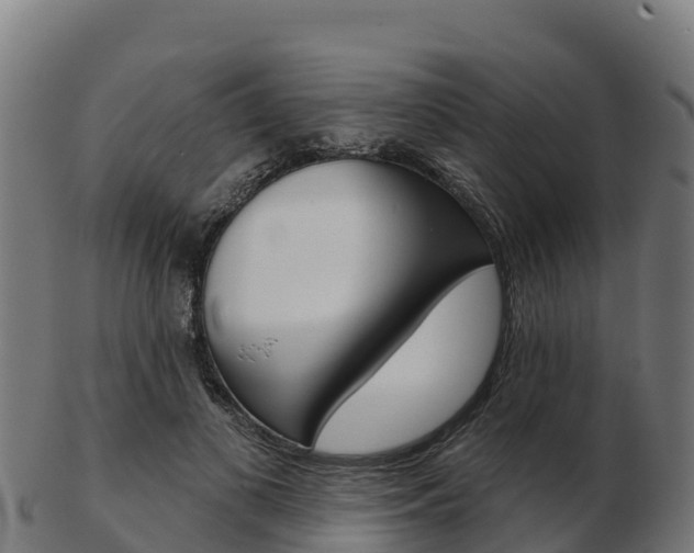 X0000103460693200809121058
