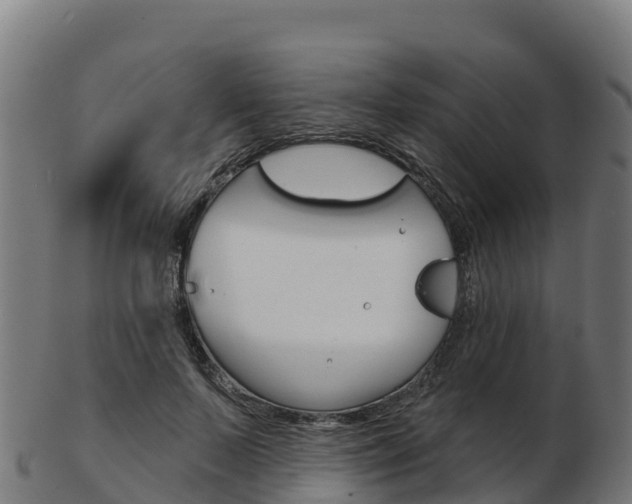 X0000103460695200809121057