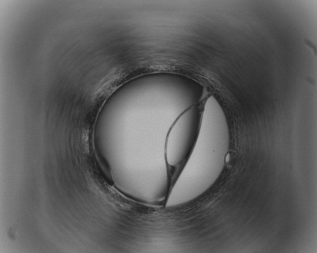 X0000103460696200809121057