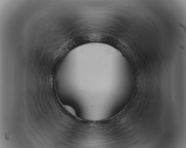 X0000103460697200809121057