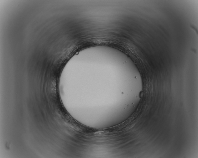 X0000103460700200809121057