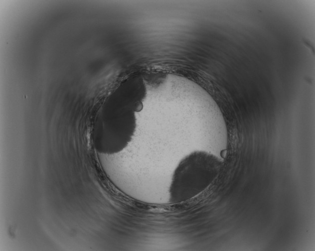 X0000103460703200809121057