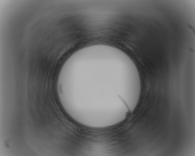 X0000103460705200809121057