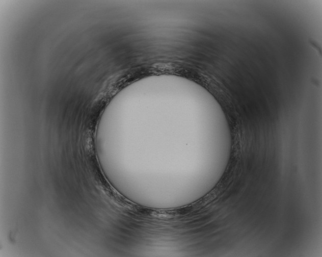 X0000103460706200809121057