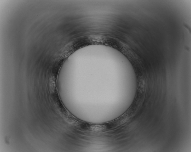 X0000103460707200809121057