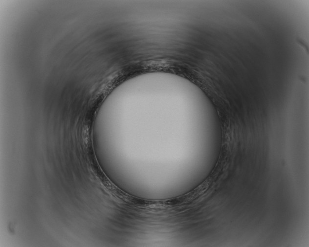 X0000103460708200809121057