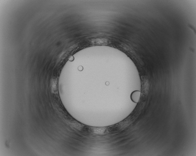 X0000103460709200809121057