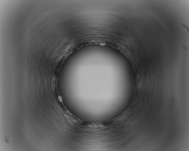 X0000103460712200809121057