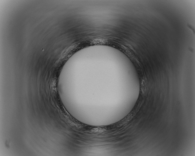 X0000103460714200809121057