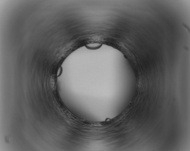 X0000103460715200809121057
