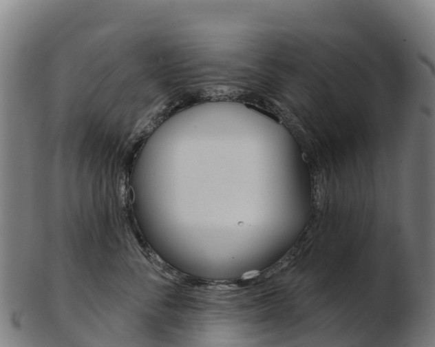 X0000103460716200809121057