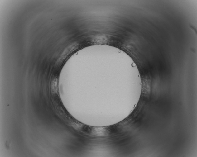 X0000103460717200809121057