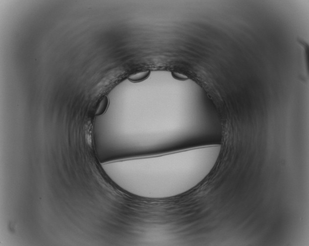 X0000103460719200809121057