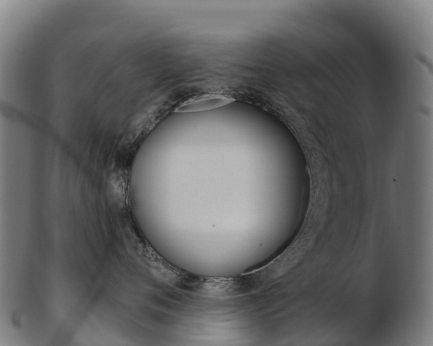 X0000103460720200809121057