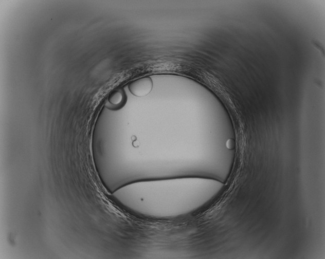 X0000103460721200809121056