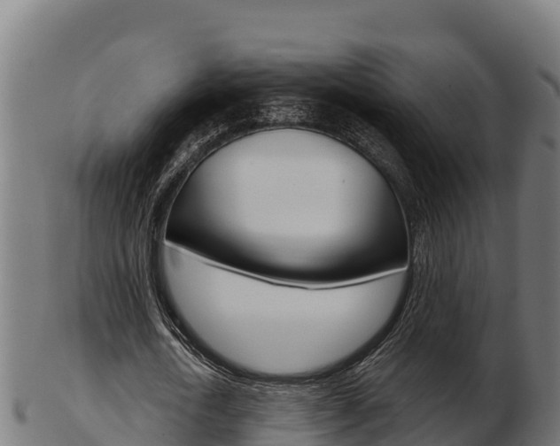 X0000103460722200809121056
