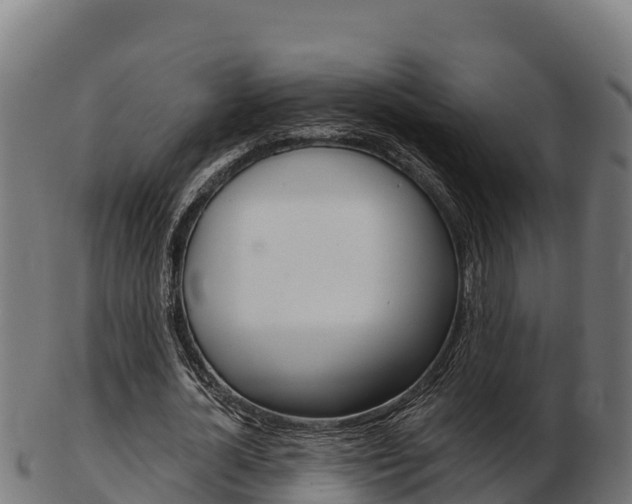 X0000103460724200809121057