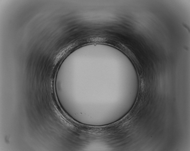 X0000103460725200809121057