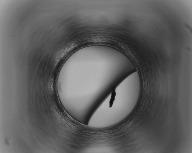 X0000103460727200809121057