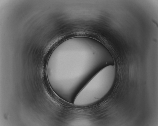 X0000103460728200809121057