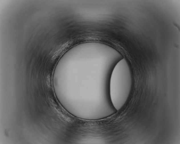 X0000103460729200809121057
