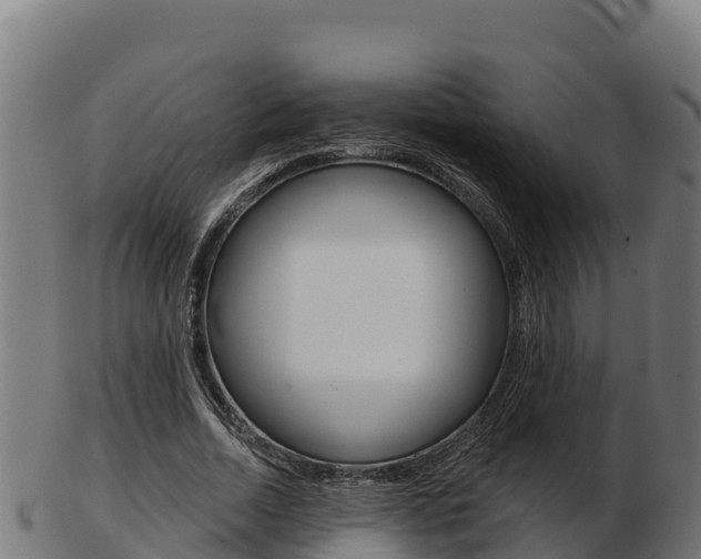 X0000103460730200809121057