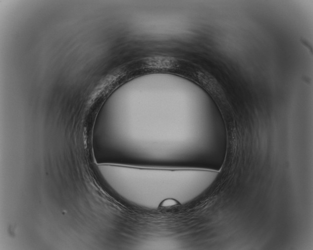 X0000103460731200809121057