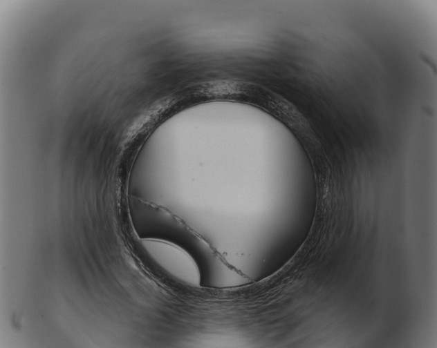 X0000103460732200809121057